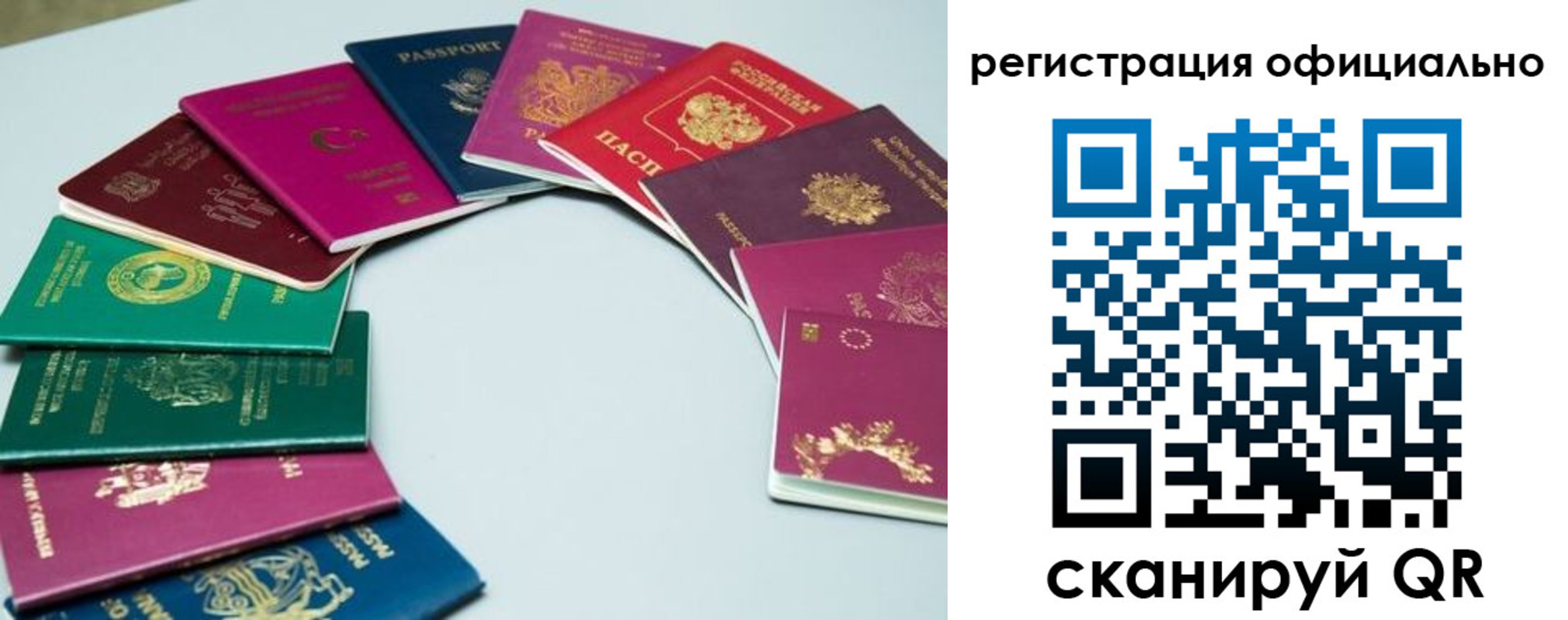 регистрация в Ельне